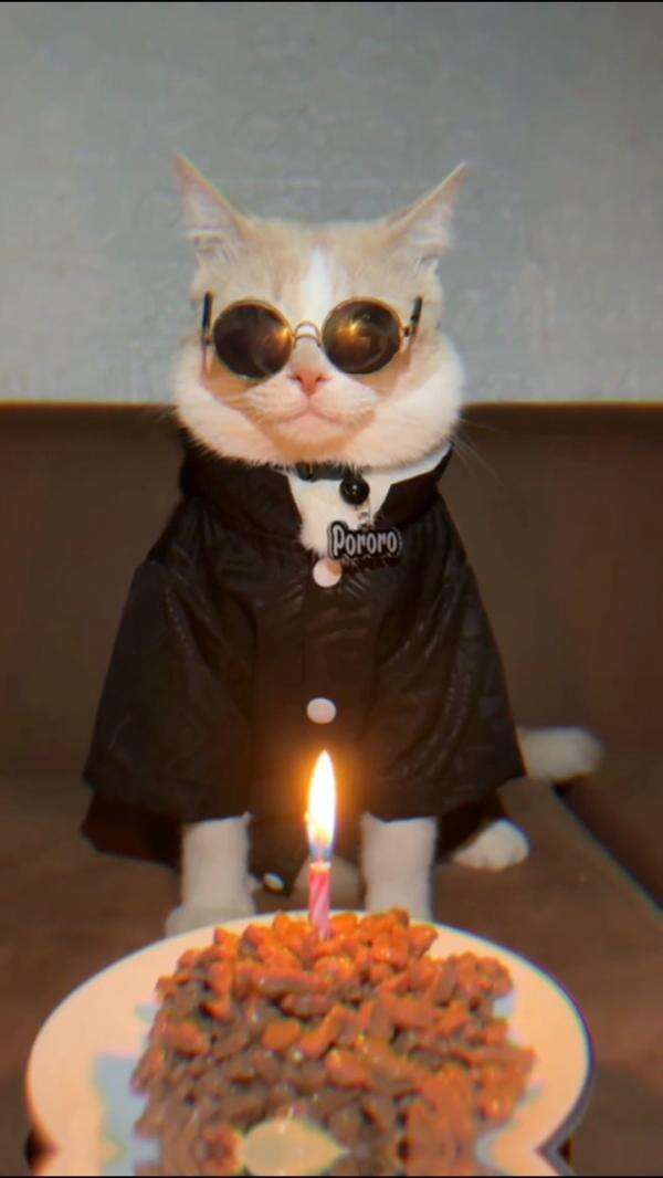 cover-image