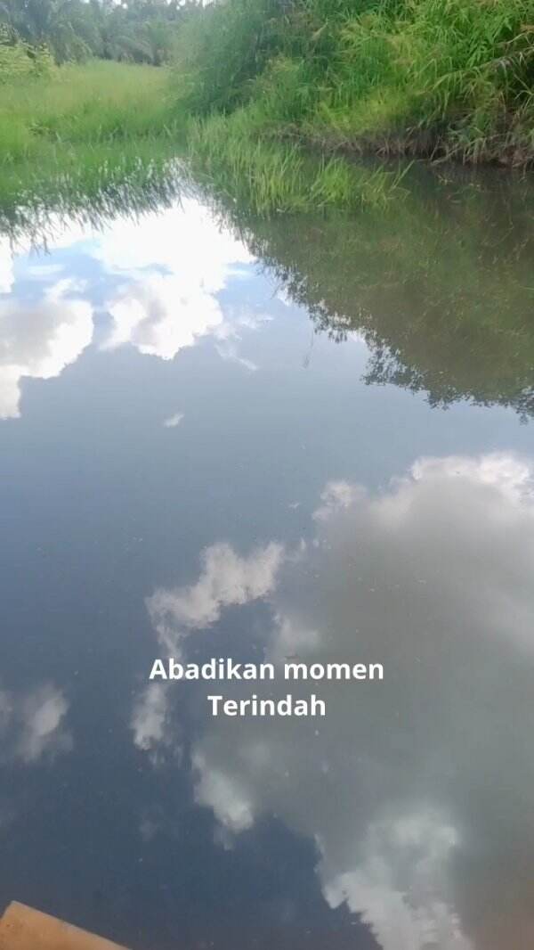 cover-image
