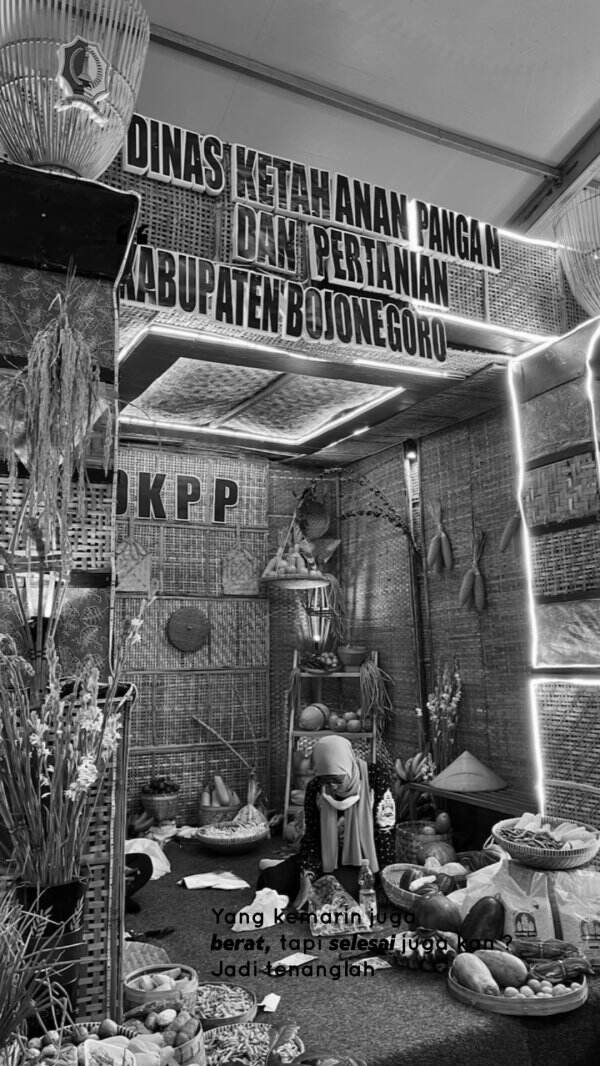 cover-image