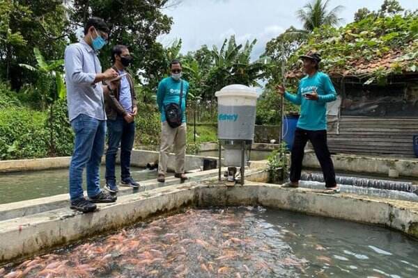 KawanCicil Dukung Budidaya Perikanan Lewat Ekosistem EFishery - News+ ...