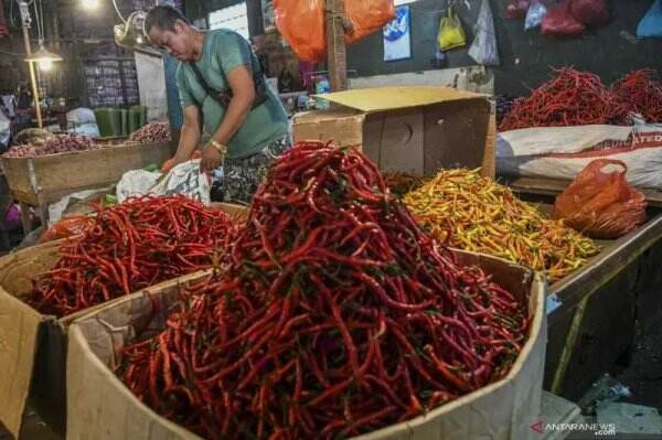Harga Cabai di Pasar Mulai Turun