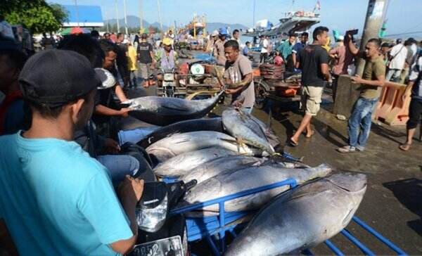 Java Tuna Watch, Alat Pengamat Tuna Jadi Juara Esri Young Scholar Award 2021