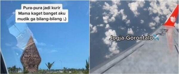 Pura-pura jadi kurir, cara pria beri kejutan ke ibunya ini bikin haru