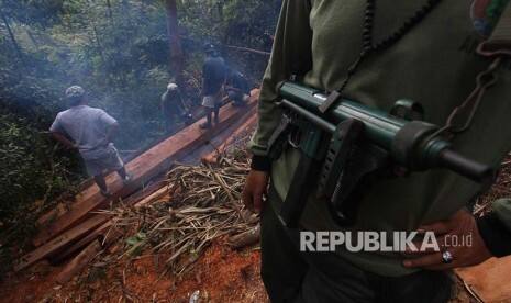Gakkum KLHK Sita 65 Batang Kayu Pembalakan Liar Sulbar