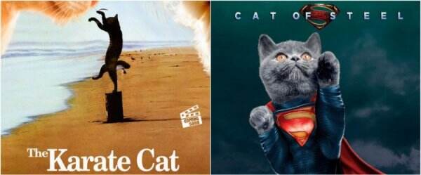 8 Potret poster film diedit dengan karakter kucing, kocak