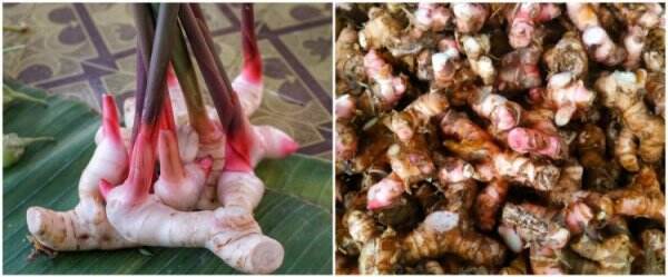 11 Manfaat lengkuas untuk kesehatan, bisa cegah kanker
