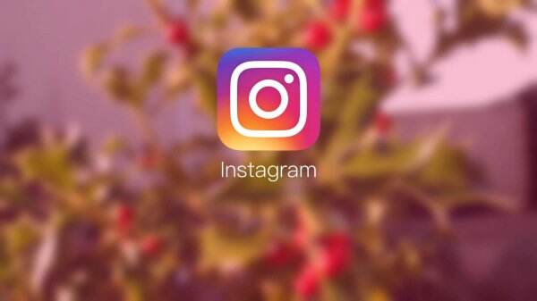 Instagram Tes Fitur Rekomendasi Konten Berdasarkan Topik