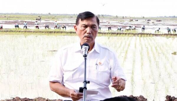 Luhut: Jangan Datang ke Stadion, Jangan Nobar