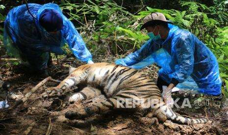 Alih Fungsi Lahan di Aceh Mengancam Satwa Dilindungi