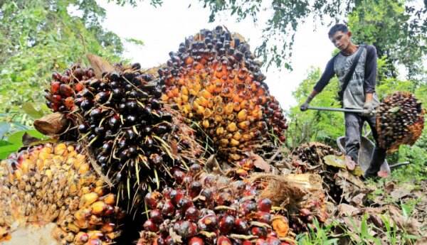 Karena Berbagai Kelakuannya, Uni Eropa Telah Ditunggu di WTO