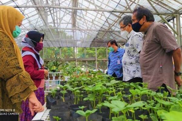 Pelatihan Petani Milenial