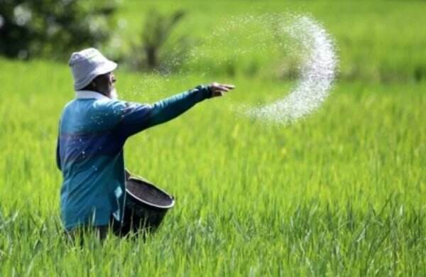 Dukung Perkembangan Pertanian, Pemkab Pandeglang Hibahkan Lahan 7,4 Hektar ke Untirta