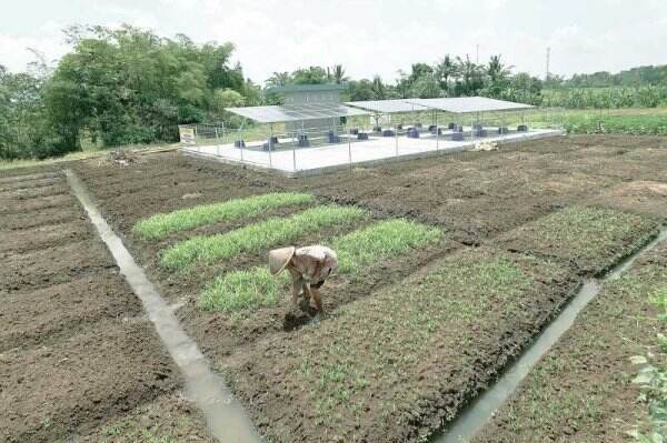 Peran Produsen Listrik Swasta Kembangkan EBT Lebih Terbuka