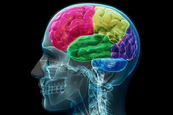 Tips Mengendalikan Amygdala Hijacking, Pembajak di Otak Anda