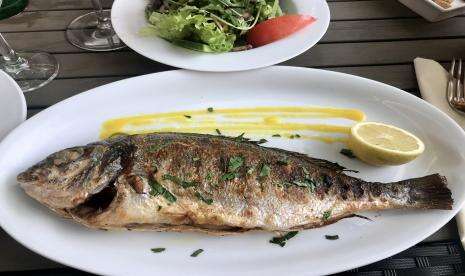 Vitamin D Bisa Dipenuhi dengan Konsumsi Ikan, Ini Kata Ahli