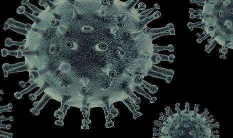 Satgas: Virus Bukan Penyebab Tunggal Terjadi Gelombang Baru