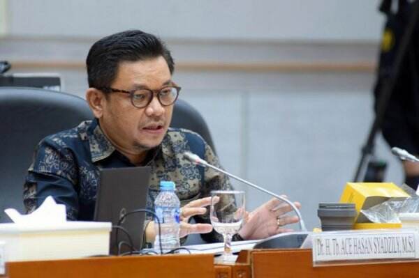 Kewenangan BNPB Bakal Diperkuat Dalam Situasi Darurat, Mesti Ada Badan Pegang Komando