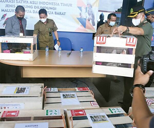 Polisi Gagalkan Penjualan Satwa Langka Khas Indonesia ke Luar Negeri