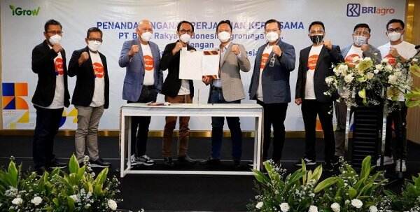 BRI Agro Genjot Ekspansi di Sektor Pertanian Melalui iGrow