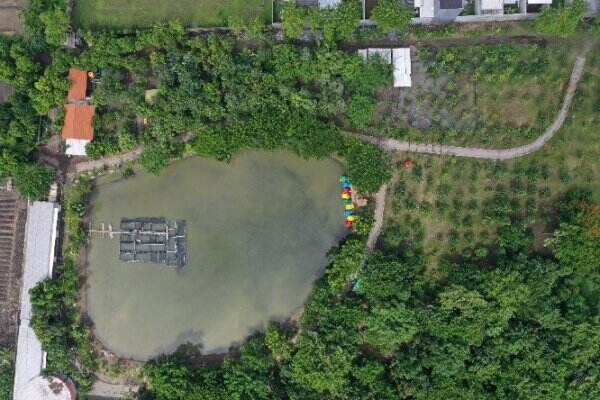 Tahura dan Kebun Raya Mangrove Siap Dibuka, Tunggu PeduliLindungi