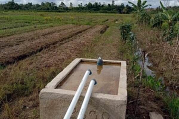 Irigasi Perpipaan Bantu Pertanian Sorong Berkembang Pesat