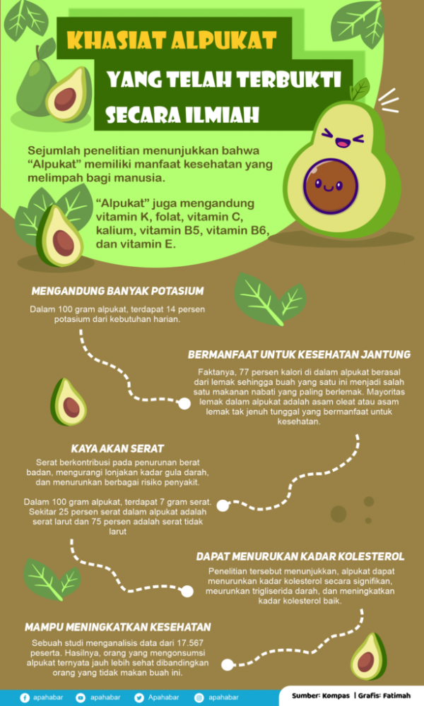 INFOGRAFIS: Manfaat Buah Alpukat