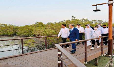 Jokowi Tanam Mangrove di Abu Dhabi