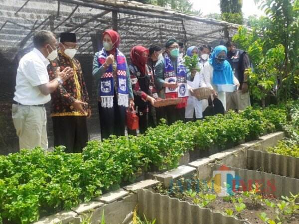 Lomba Kampung Bersinar DLH Kota Malang Masuk 20 Besar, Wali Kota Sutiaji Ikut Turun Lapangan