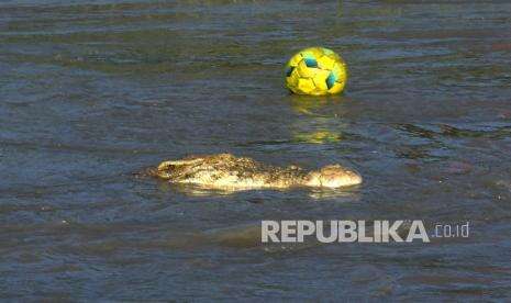 In Picture: Bermain Sepakbola di Dekat Habitat Buaya