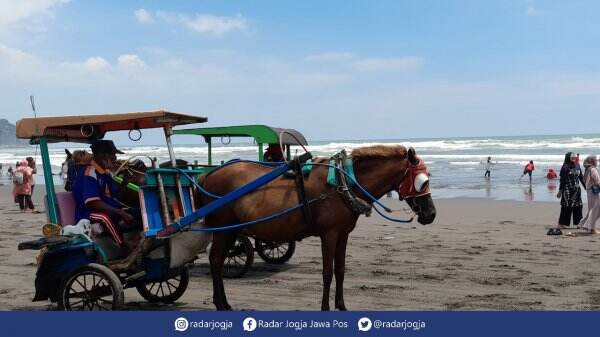 Wisatawan Turun, Anggap Siklus Tahunan