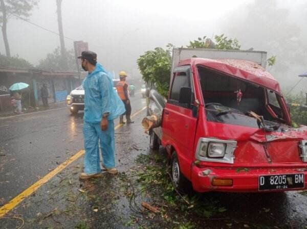 Pohon Tumbang di Puncak, Satu Mobil Ringsek!