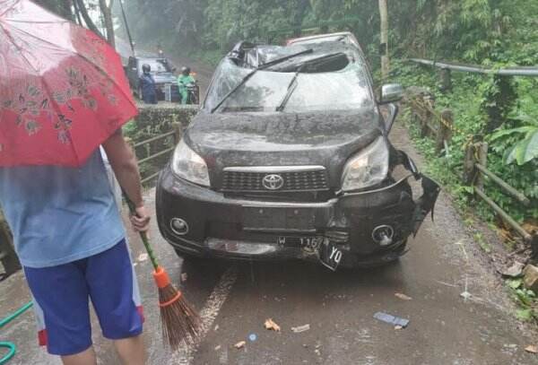 Pengendara Mobil Tewas Tertimpa Pohon Tumbang