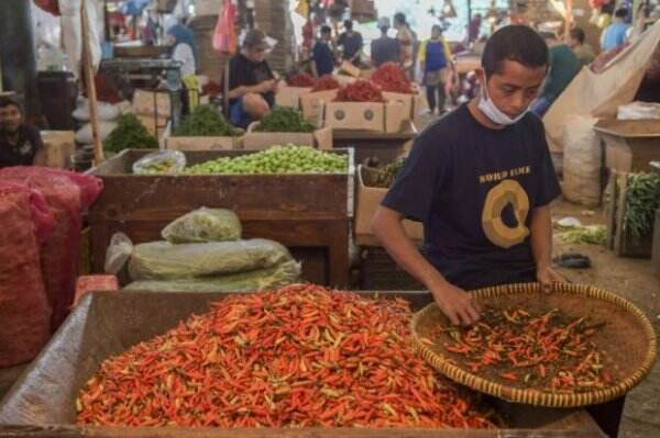 Busyet! Harga Cabai Rawit Hari Ini Tembus Rp135.000 per Kg