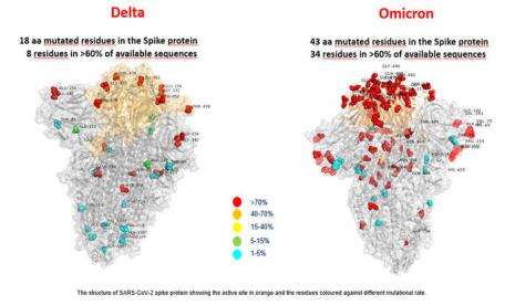 Lebih Parah Mana, Infeksi Omicron Vs Delta? Mengapa Bisa Begitu