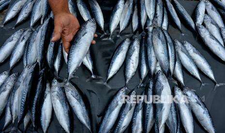 Cara Mudah Memilih Ikan Segar! Nomor 2 Paling Mudah