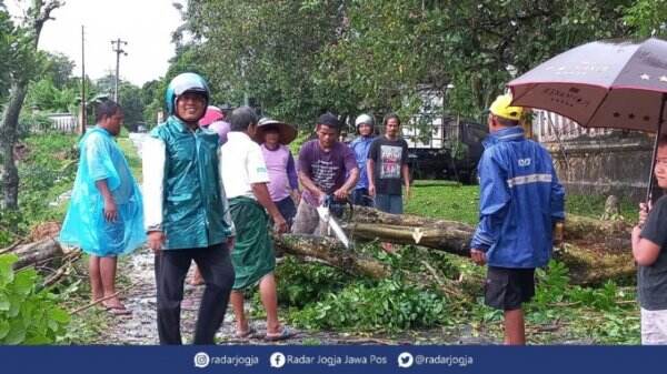 Meluas, Terdampak Angin Kencang Jadi 140 Titik