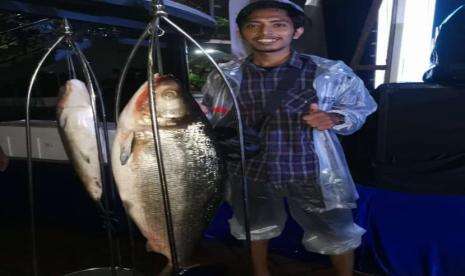 Tradisi Pasar Bandeng Gresik, Warisan Sunan Giri Jelang Idul Fitri