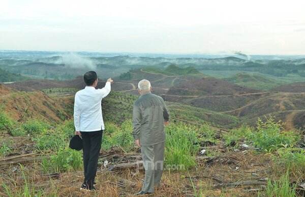 Masuk Tim Transisi IKN, Apa yang Dilakukan Gubernur Kaltim?