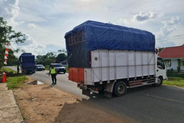 Nekat Melintas Saat Puncak Arus Balik, Dua Mobil Truk Bermuatan Odong-odong Ditilang