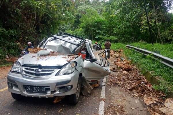 Mobil Pemudik Tertimpa Pohon, Seorang Penumpang Tewas dan Sopir Luka Parah