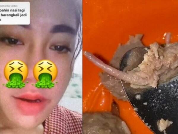 Lagi Heboh di Sosmed! Ini 4 Fakta Bakso Diduga dari Daging Tikus, Waspada... Ada Ciri-ciri Tak Biasa
