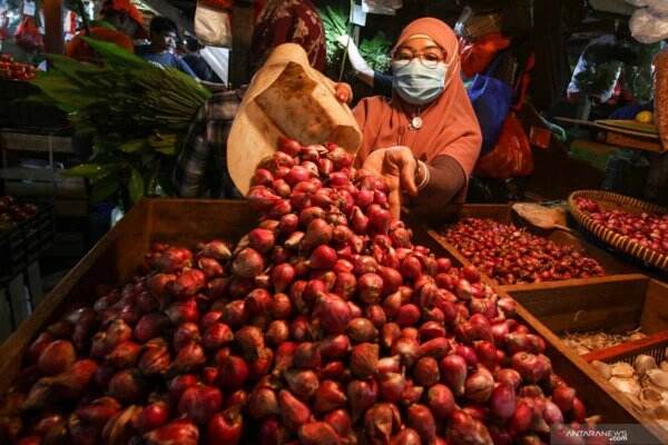 3 Khasiat Bawang Merah untuk Tubuh, Sehatkan Otot dan Saraf!
