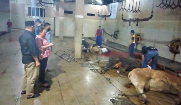 RPH Kota Surabaya Tolak Potong Sapi dari Daerah Terjangkit PMK