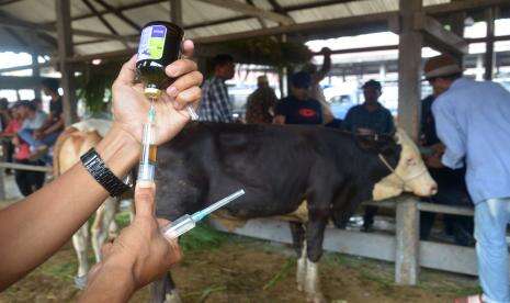 Wabah PMK, Kementan Jamin Kebutuhan Daging Sapi untuk Idul Adha Aman