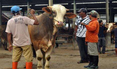 Temanggung Larang Masuk Hewan Ternak dari Luar Daerah Tanpa SKKH