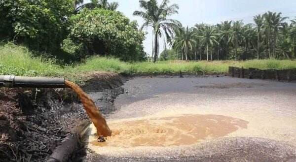 RI Segera Garap Proyek Biometana Limbah Sawit