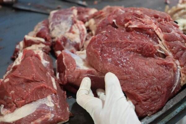 Ini Tips Aman Simpan dan Olah Daging agar Bebas PMK