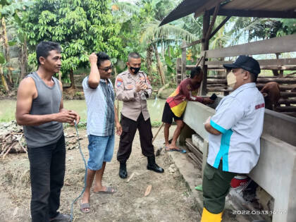 Antisipasi Wabah PMK, Polisi dan Disnak Pringsewu Datangi Peternak Sapi