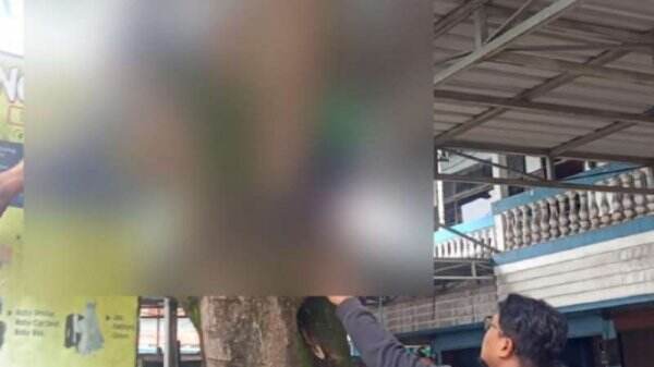 Petik Mangga Muda untuk Istri yang Ngidam, Hermawan Alami Nasib Tragis