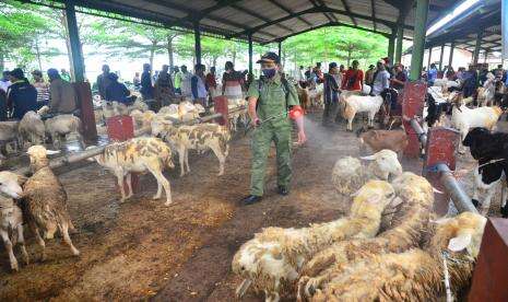 DPP Kulon Progo temukan penyakit mulut dan kuku di Pandowan